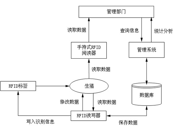 RFID技術(shù)實(shí)現(xiàn)精確性飼養(yǎng)